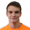 M. Pajic
