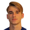 F. Borovac