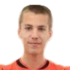 V. Damjanic
