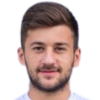 T. Srbljinovic