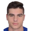 I. Brkic