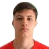 D. Simcic