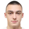 M. Pavlovic