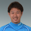 K. Fujita