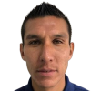 F. Torres