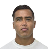 R. Salinas