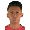 L. G. Ramirez Flores