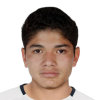 G. Rodriguez