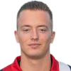 J. den Hartog