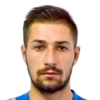 N. Badic