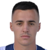 N. Marjanovic