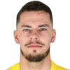 Player avatar