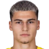 V. Atanasijevic