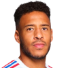 C. Tolisso