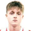 J. Ireland