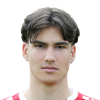 A. Tikvic