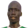 K. T. Kerjok