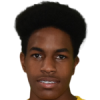 K. Foster