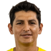 R. Aliaga