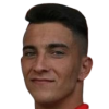 V. Merino Villalta