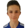 M. Klein