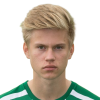 O. Sallinen