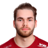 L. Liukkonen