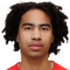 J. Ribeiro