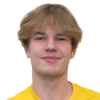 L. Nokelainen