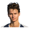 Player avatar