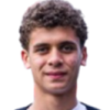 H. Abdelkarim