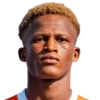 G. Bamba
