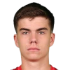 V. Tomic
