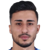 K. Karayigit
