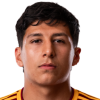 D. Velasquez