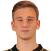 Y. Petrik