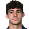 J. Saputo