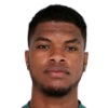 N. Williams