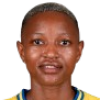 N. Ndlovu