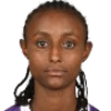 N. Bekele