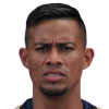 M. Vega