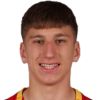 P. Vujovic