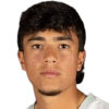 S. Vargas