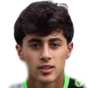 M. Al Omar