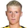 A. Finnbogason