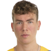 V. Hafthorsson