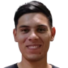 F. Dominguez