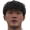 G. Zhu