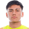 V. Villegas