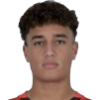 H. El Degawy
